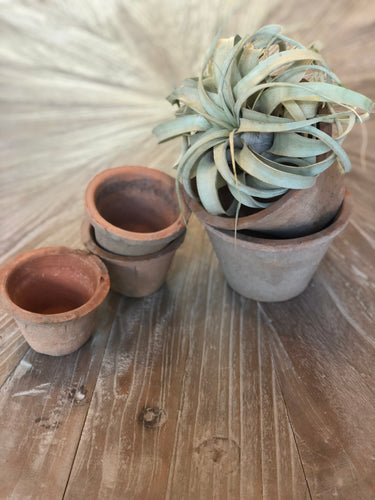 aged terra cotta pots--small